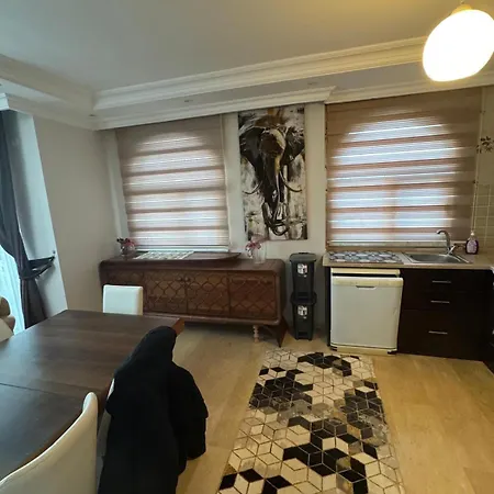 Apartament Turky *